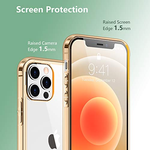 Temdan Clear Case Compatible with iPhone 12 Case/iPhone 12 Pro Case, Non-Yellowing Shockproof Protective Phone Case- Slim Thin