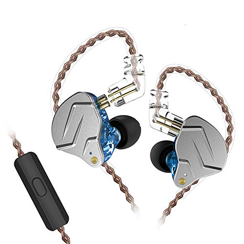 AVIOX x ZSN Earphones.