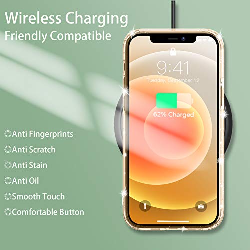 Temdan Clear Case Compatible with iPhone 12 Case/iPhone 12 Pro Case, Non-Yellowing Shockproof Protective Phone Case- Slim Thin