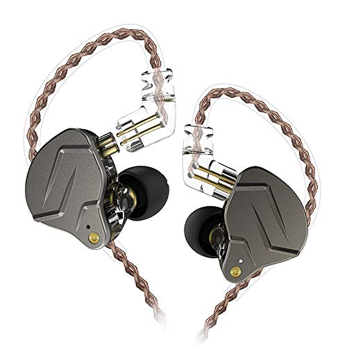 AVIOX x ZSN Earphones.