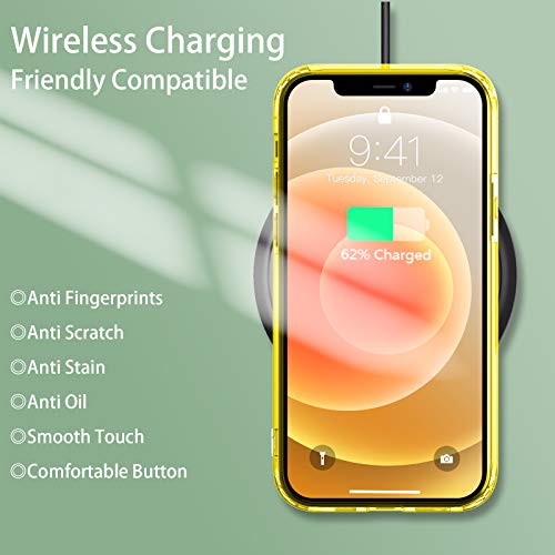 Temdan Clear Case Compatible with iPhone 12 Case/iPhone 12 Pro Case, Non-Yellowing Shockproof Protective Phone Case- Slim Thin