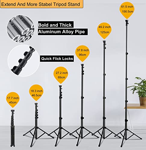 UPhitnis 10" Ring Light with Tripod Stand & Phone Holder, Selfie Ring Light with 63" Tripod Stand with 3 Light Modes & 10 Brightness Level for YouTube/Instagram/Video/Photography/Live Streaming…