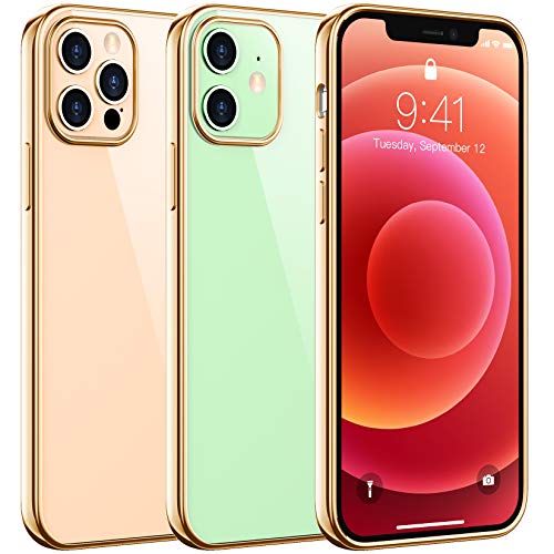 Temdan Clear Case Compatible with iPhone 12 Case/iPhone 12 Pro Case, Non-Yellowing Shockproof Protective Phone Case- Slim Thin