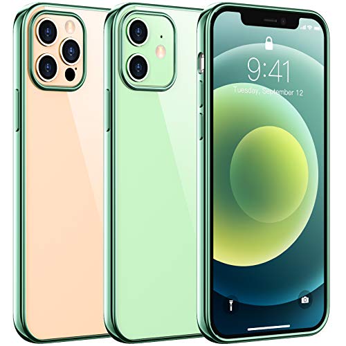 Temdan Clear Case Compatible with iPhone 12 Case/iPhone 12 Pro Case, Non-Yellowing Shockproof Protective Phone Case- Slim Thin