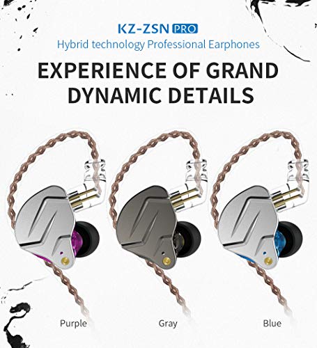 AVIOX x ZSN Earphones.