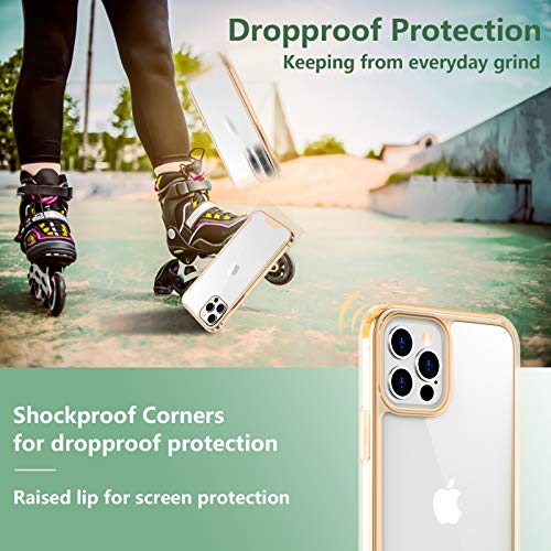 Temdan Clear Case Compatible with iPhone 12 Case/iPhone 12 Pro Case, Non-Yellowing Shockproof Protective Phone Case- Slim Thin