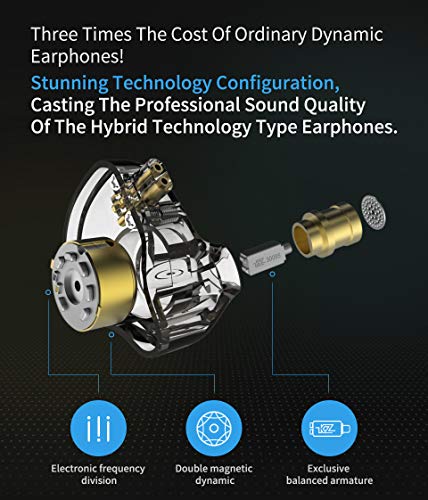 AVIOX x ZSN Earphones.